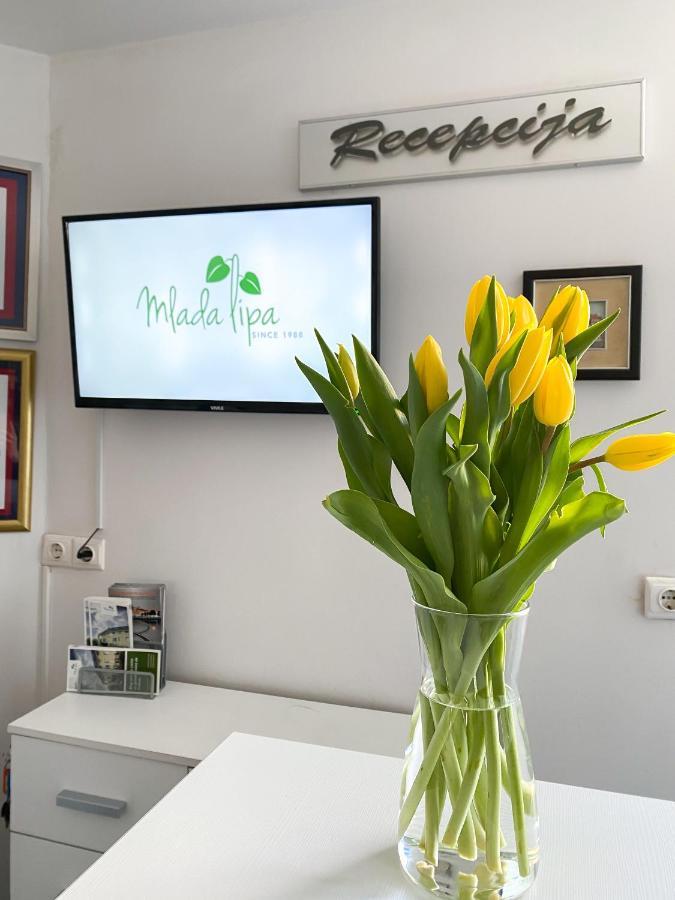 Guest House Mlada Lipa Maribor Ngoại thất bức ảnh