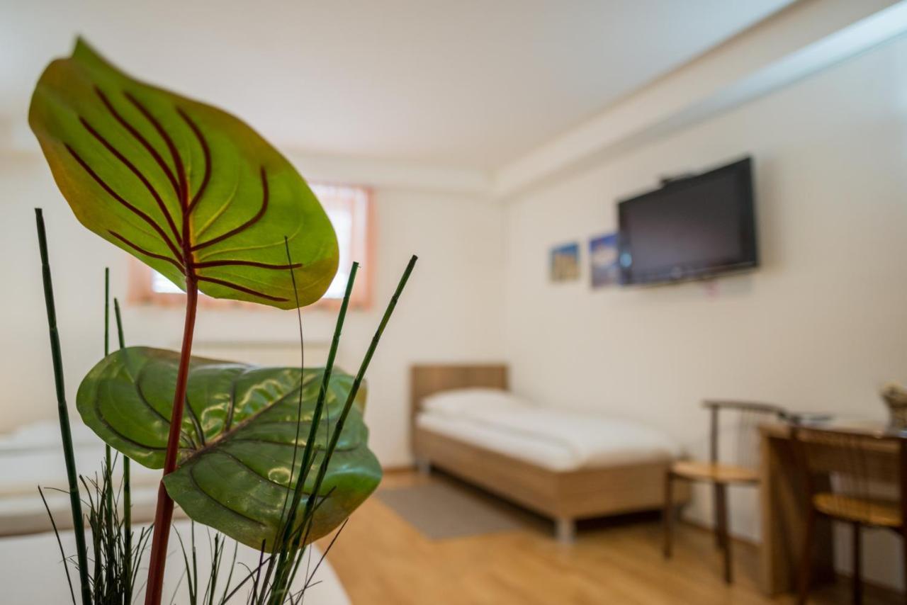 Guest House Mlada Lipa Maribor Ngoại thất bức ảnh